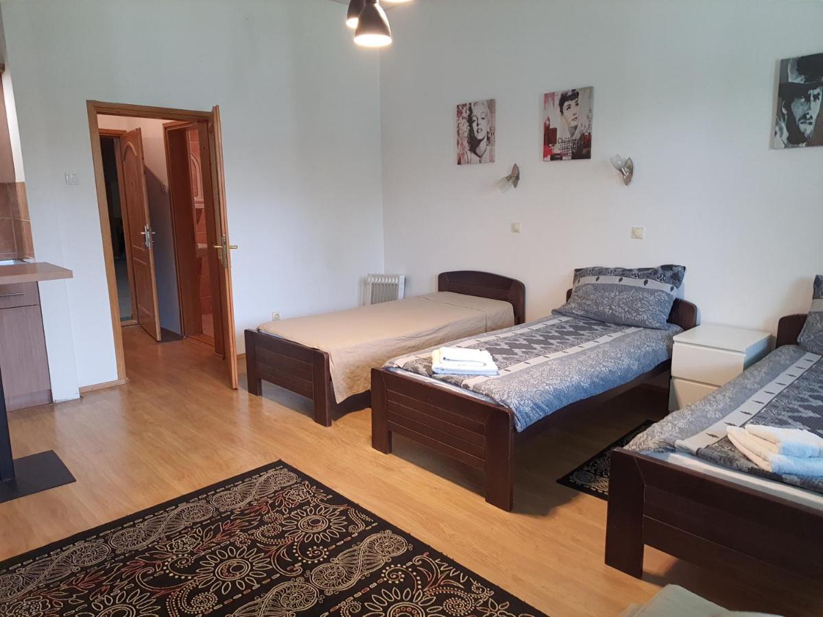 Felix Apartment Zlatibor Kültér fotó