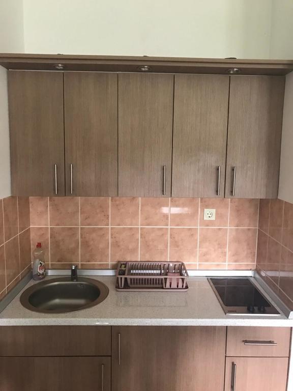 Felix Apartment Zlatibor Kültér fotó