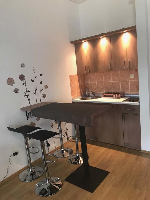 Felix Apartment Zlatibor Kültér fotó